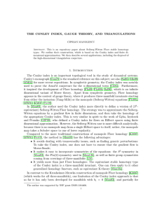 The Conley index, gauge theory, and triangulations