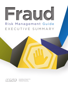 Risk Management Guide EXECUTIVE SUMMARY