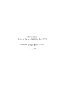 Master thesis Study of the new DSSD for Belle