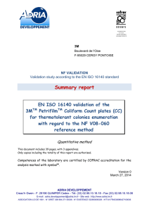 Rapport de synthèse 3M 01-02-09-89 C (en) - NF VALIDATION