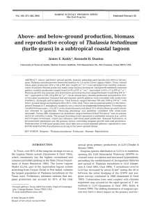 Above- and below-ground production, biomass and reproductive