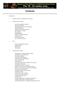 The 18 - 23 weeks scan - Fetal Medicine