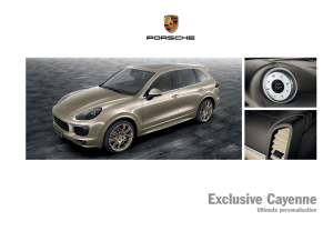 Exclusive Cayenne