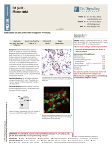 Rb (4H1) Mouse mAb - Cell Signaling Technology
