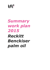 Summary work plan 2015 Reckitt Benckiser palm oil