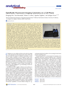 Optofluidic Fluorescent Imaging Cytometry on a Cell Phone