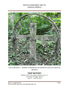 2016 Chiapas Trip Report by Ramon Lucero