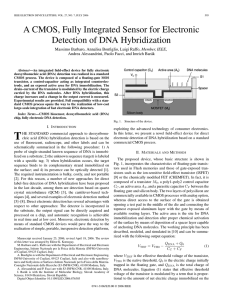 A CMOS, Fully Integrated Sensor for Electronic Detection of DNA