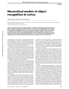 Hierarchical models of object recognition in cortex