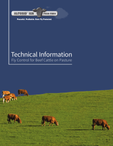 Technical Information