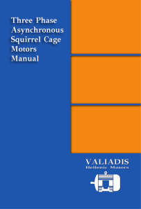 three phase asynchronous squirrel cage motors manual