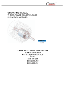 operating manual three-phase squirrelcage induction motors