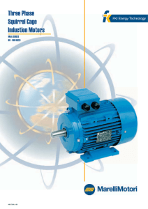 Three Phase Squirrel Cage Induction Motors