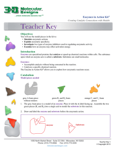 Teacher Key - 3D Molecular Designs
