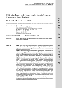 Reticuline Exposure to Invertebrate Ganglia Increases Endogenous