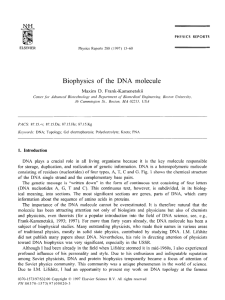 Biophysics of the DNA molecule
