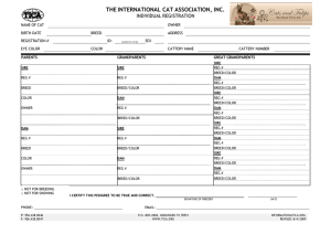 the international cat association, inc.
