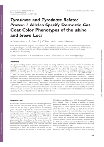 Tyrosinase and Tyrosinase Related Protein 1 Alleles Specify