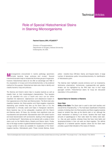 Role of Special Histochemical Stains in Staining