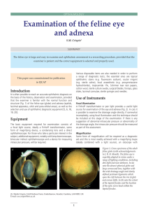 Examination of the feline eye and adnexa