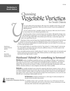 VegetableVarieties - South Dakota State University