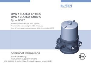 Additional Instructions BVS 13 ATEX E104X BVS 13 ATEX