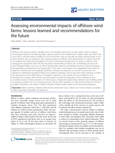 Assessing environmental impacts of offshore wind farms: lessons