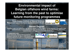 Environmental impact of Belgian offshore wind farms: Learning from
