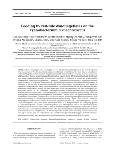 Feeding by red-tide dinoflagellates on the cyanobacterium