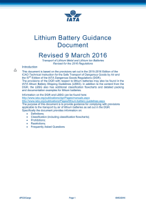 Lithium Battery Guidance Document