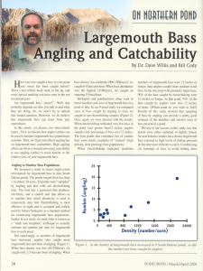 Largemouth Bass - South Dakota State University