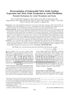 Downregulation of Endocardial Nitric Oxide Synthase Expression