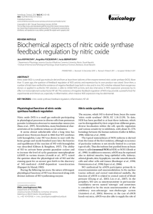 REVIEW: Biochemical aspects of nitric oxide synthase feedback