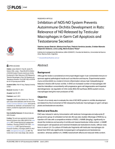 Inhibition of NOS-NO System Prevents Autoimmune Orchitis