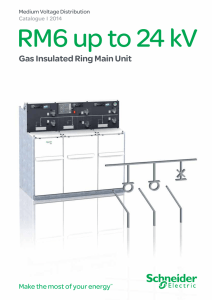 Gas Insulated Ring Main Unit