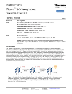 Pierce S-Nitrosylation Western Blot Kit