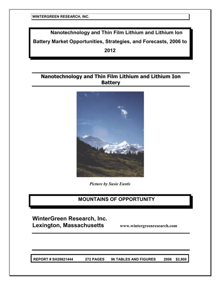 PDF Brochure WinterGreen Research