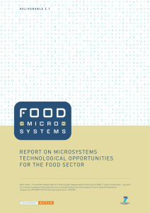 Report on the microsystems technological