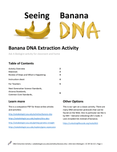Ask A Biologist - Banana DNA Extraction