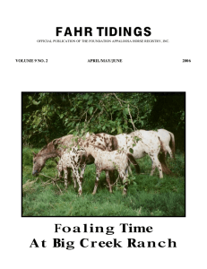 FAHR TIDINGS Foaling Time At Big Creek Ranch