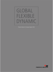 Global Flexible Dynamic