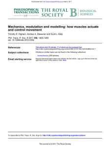 how muscles actuate - NMBL