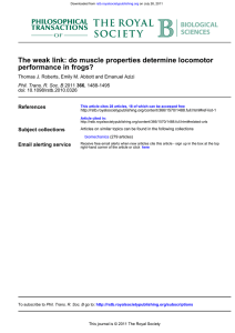 performance in frogs? The weak link: do muscle properties