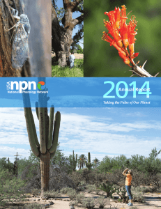 2014 Annual Report - USA National Phenology Network