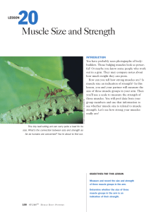 Lesson 20: Muscle Size and Strength