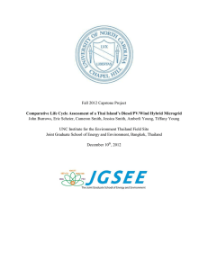 Final Report - Institute for the Environment