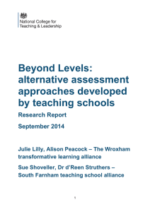 Beyond levels: alternative assessment approaches