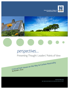 Critical Path Issues on the Way to Carbon Neutrality