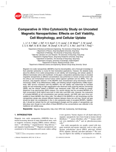 Comparative In Vitro Cytotoxicity Study on Uncoated Magnetic