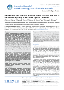 Inflammation and Oxidative Stress in Retinal Diseases